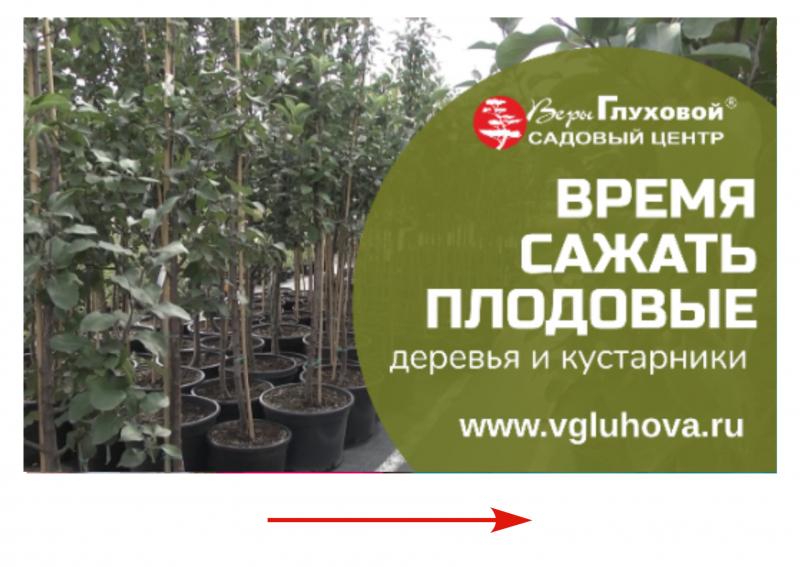 Осень - самое время сажать плодовые деревья и кустарники