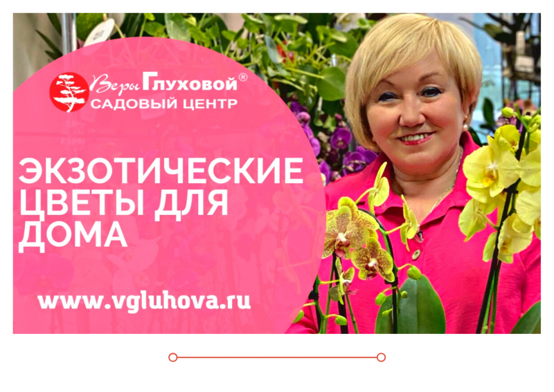 Дачные советы новый выпуск от 09,06.2022