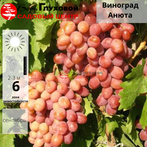 Основное изображение товара