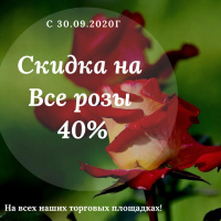 Скидки на розы 2020