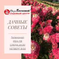 Дачные советы на РЕН-ТВ 2020