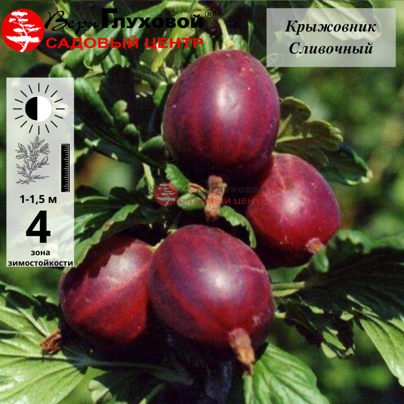 Основное изображение товара