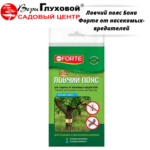 Основное изображение товара