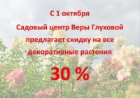 Скидка 30% на декоративные растения