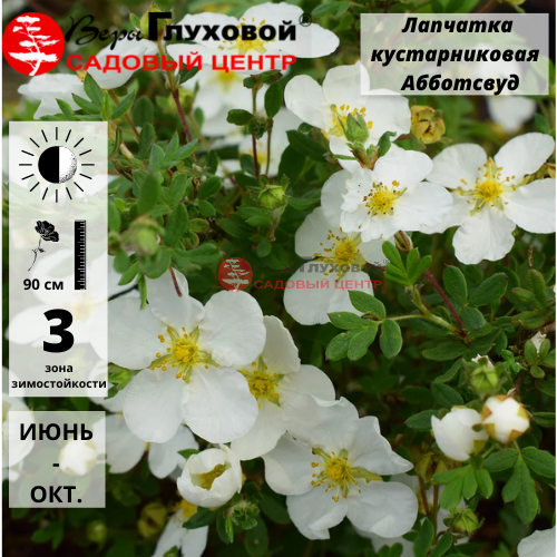 Основное изображение товара