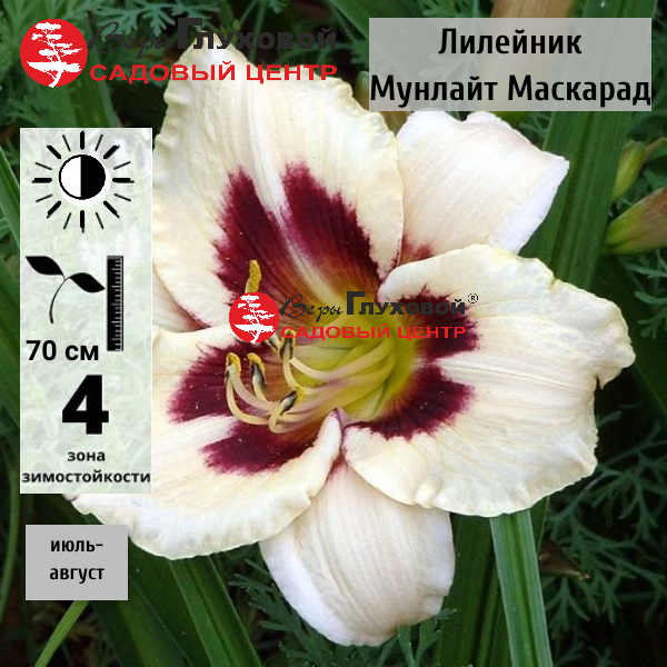 Основное изображение товара