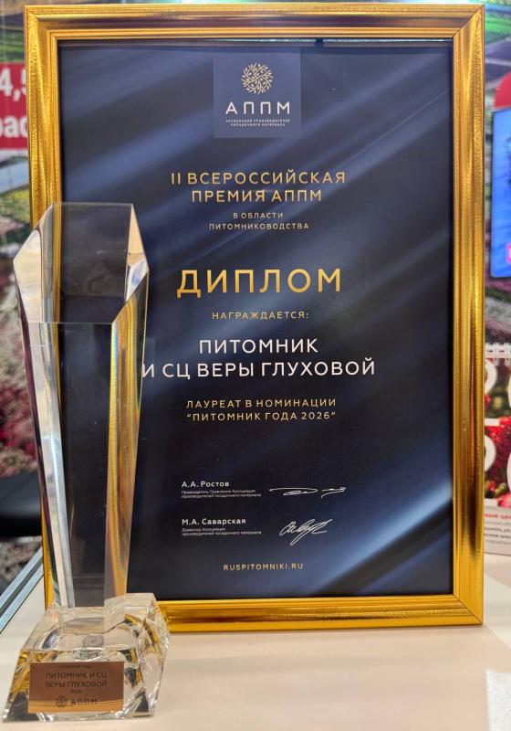 Свершилось! Мы — лучший питомник года!