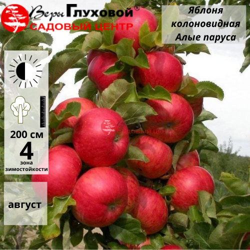 Основное изображение товара