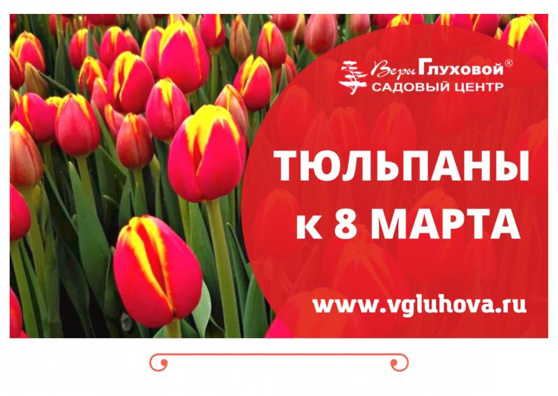 ТЮЛЬПАНЫ к 8 МАРТА ИЗ НАШИХ ТЕПЛИЦ