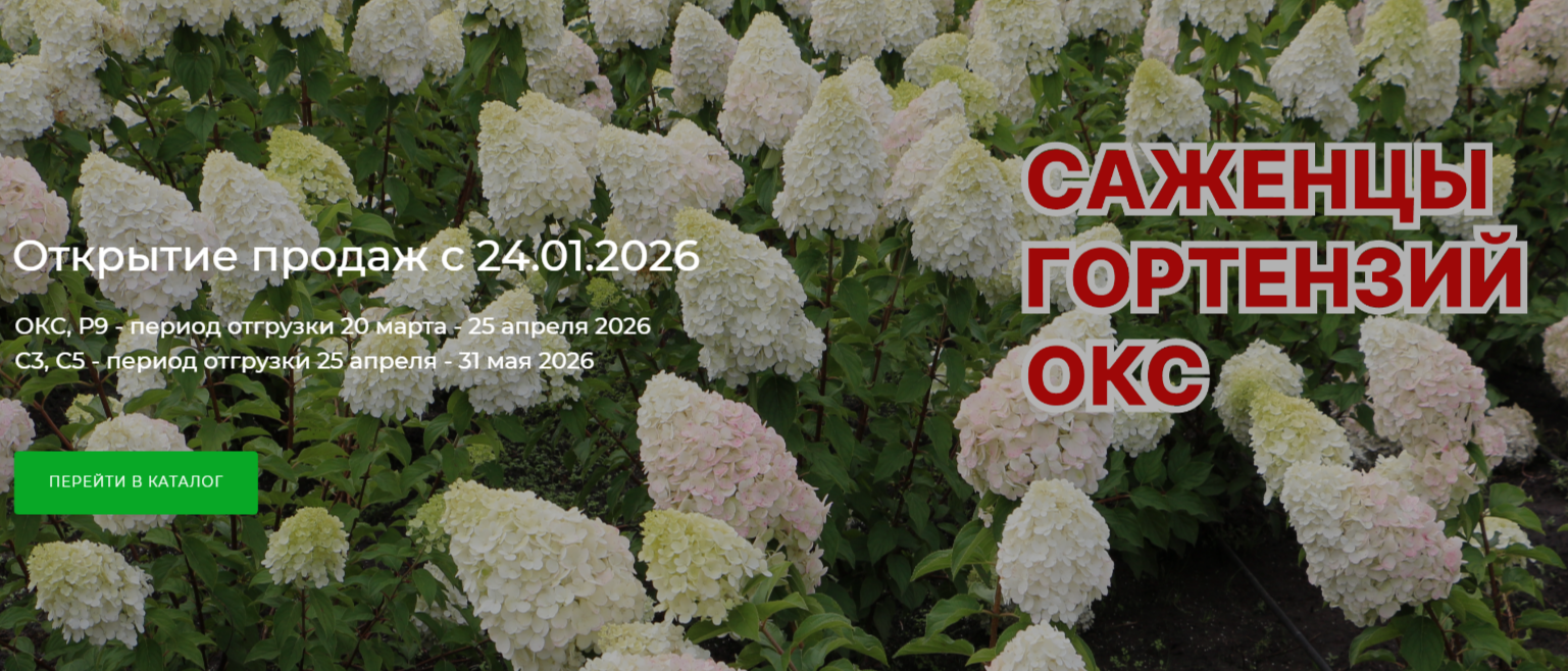 Открытие интернет-магазина Гортензия.Шоп Открытие интернет-магазина Гортензия.Шоп