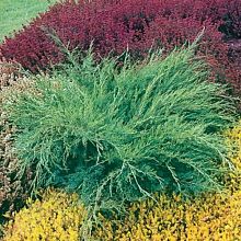 Основное изображение товара