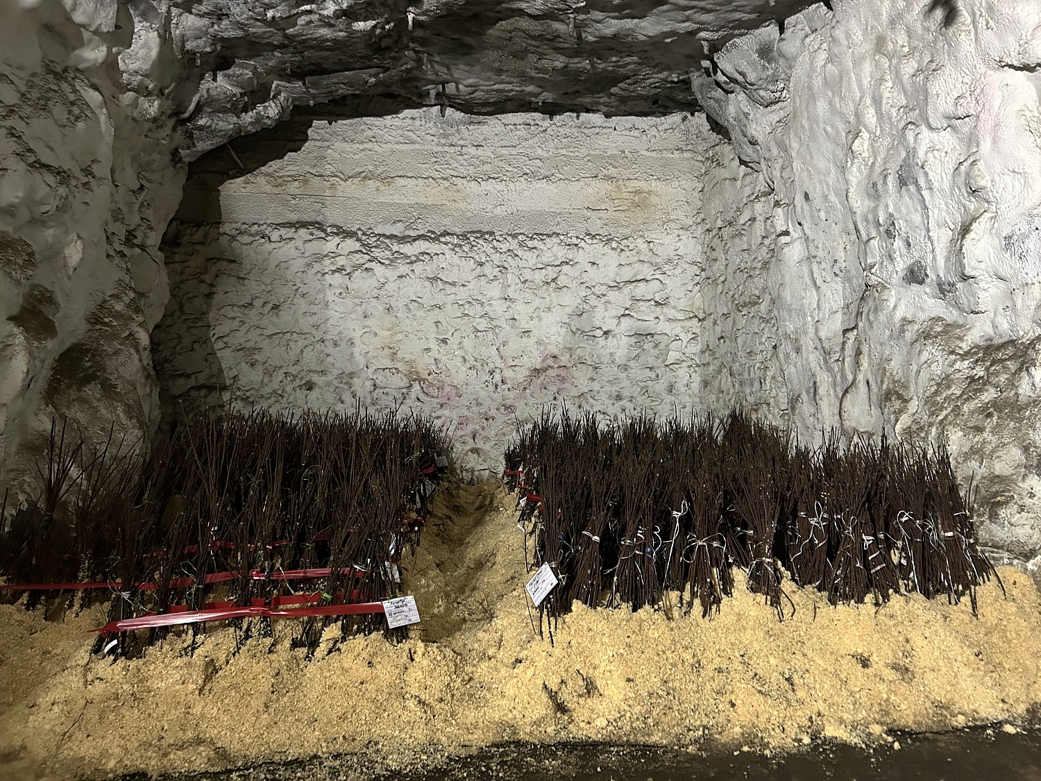 Не только королева сада, но и хозяйка горы