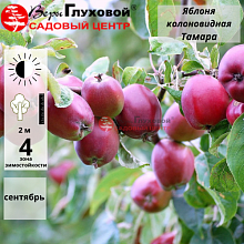 Основное изображение товара