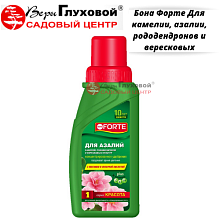 Основное изображение товара