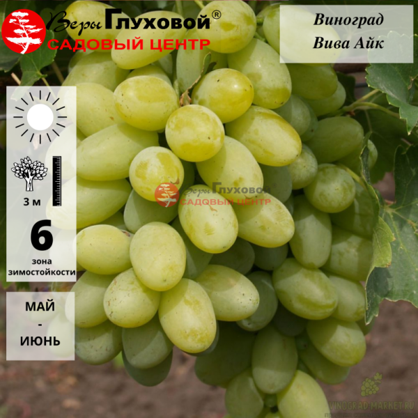 Основное изображение товара