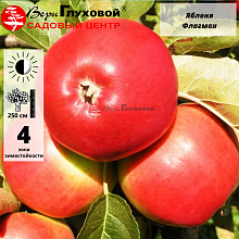 Основное изображение товара