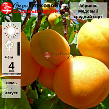 Основное изображение товара